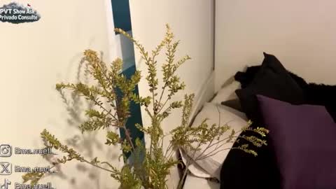 emanuell___ online show from August 4, 10:47 pm