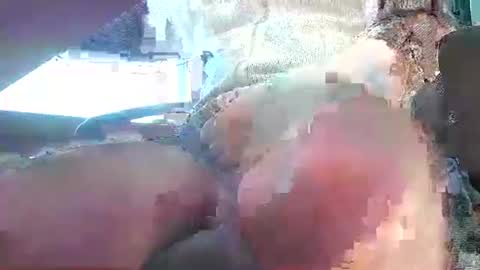 ensolo56 online show from November 1, 9:02 am