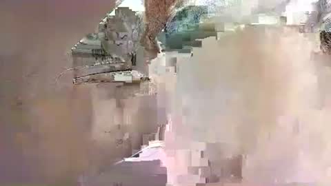 ensolo56 online show from November 13, 7:46 am