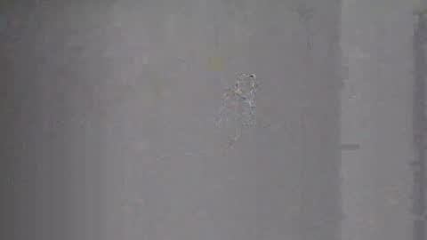 Snapshot of ericbuck chatting on December 31, 5:11 am Eric Buck online show from December 31, 5:11 am