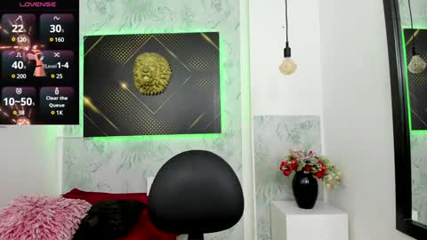 Snapshot of erick_zhimerman chatting on January 21, 4:00 am online show from January 21, 4:00 am