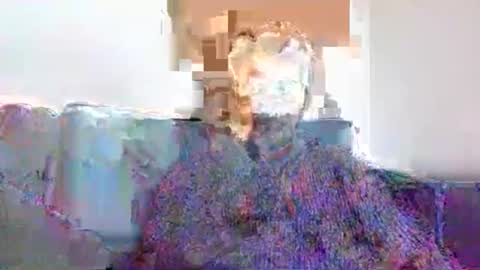 Snapshot of erniehot chatting on October 13, 12:00 pm ernie is feeling horny online show from October 13, 12:00 pm