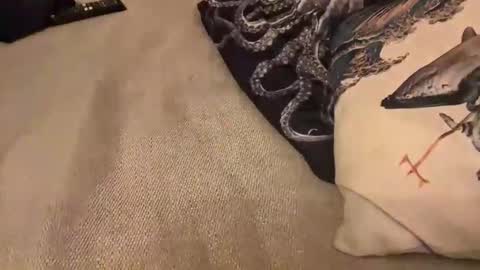 Snapshot of erosforcouples chatting on October 30, 11:28 pm erosforcouples online show from October 30, 11:28 pm