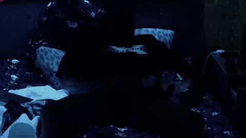 Cash  Carry Fox online show from April 19, 2:33 am