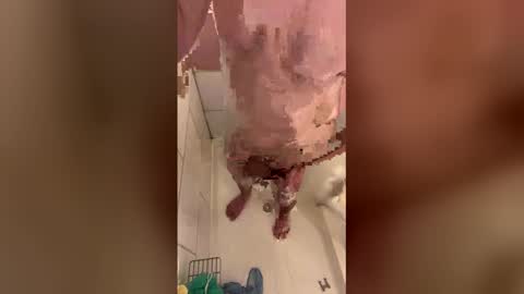 ethan420699942 online show from March 27, 12:48 am