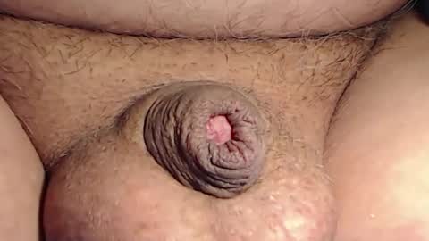 evarec online show from December 21, 3:31 pm