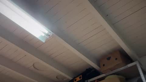 fabius1995 online show from March 22, 7:52 pm