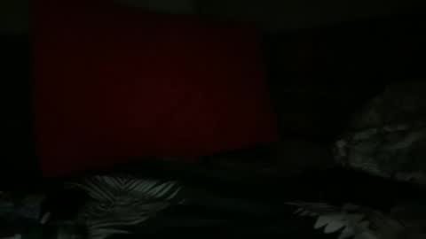 Snapshot of fabx7777 chatting on January 22, 7:57 am FABX online show from January 22, 7:57 am