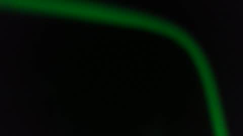 Fred. online show from January 13, 12:48 am