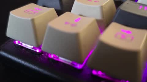 faverry online show from November 14, 11:22 am