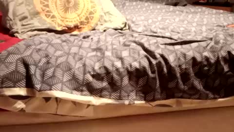 GRM online show from November 13, 8:13 pm