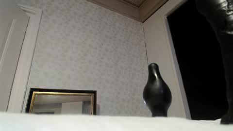 Snapshot of femboy710cum chatting on February 25, 11:44 pm femboy710cum online show from February 25, 11:44 pm