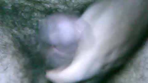 Snapshot of fer_2197 chatting on February 6, 1:54 pm fer_2197 online show from February 6, 1:54 pm