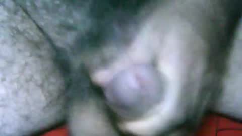 Snapshot of fer_2197 chatting on January 2, 12:46 pm fer_2197 online show from January 2, 12:46 pm