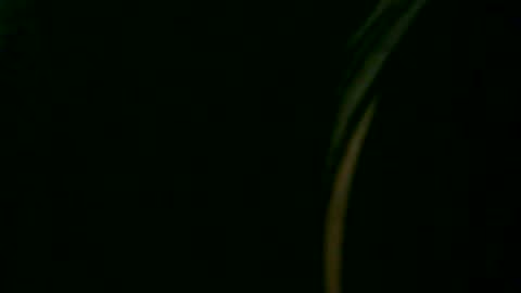 Snapshot of fer_2197 chatting on January 18, 12:17 am fer_2197 online show from January 18, 12:17 am