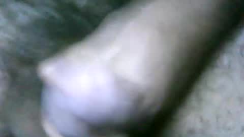 Snapshot of fer_2197 chatting on February 18, 2:06 pm fer_2197 online show from February 18, 2:06 pm