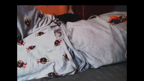 ferra_testarossa online show from October 25, 4:03 am