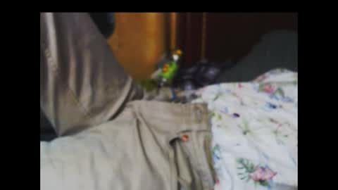 Snapshot of ferra_testarossa chatting on October 9, 5:12 am ferra_testarossa online show from October 9, 5:12 am