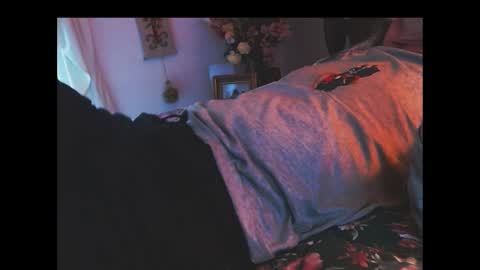 ferra_testarossa online show from November 3, 9:49 pm