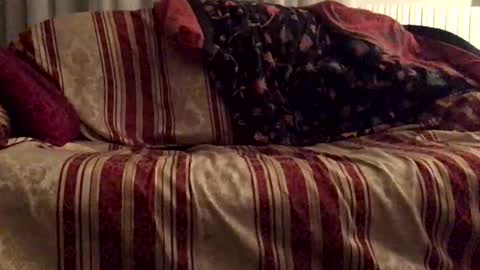 fiii87 online show from February 13, 9:09 am