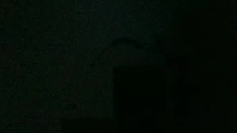 fine_nice online show from February 2, 2:38 am