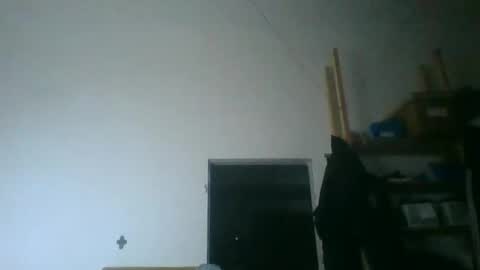 fine_nice online show from November 16, 5:26 pm