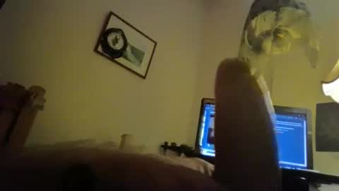 Snapshot of fitsandpics chatting on September 16, 8:42 pm wolfgangfox online show from September 16, 8:42 pm