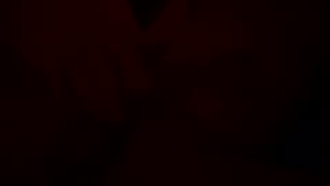 flowaul online show from November 23, 4:12 am