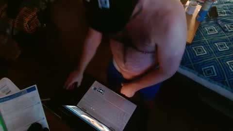 Pigs fly online show from February 16, 10:13 am