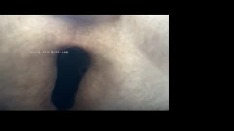 forest1989 online show from October 31, 10:51 am