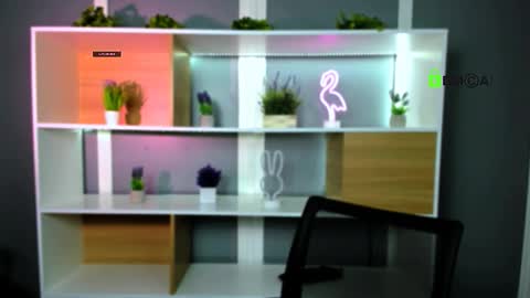 fose di online show from February 2, 7:33 pm