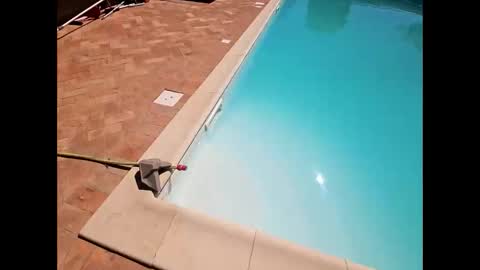 fra  71 online show from April 5, 11:39 am