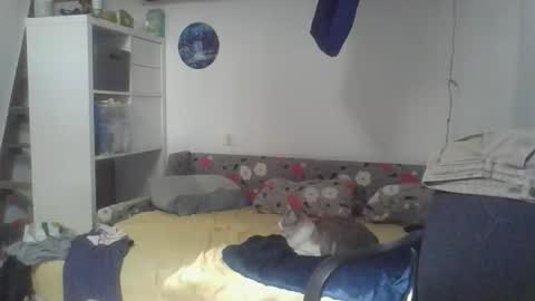 frcokin online show from April 3, 12:24 pm