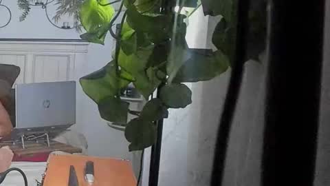 freespirt2 online show from February 16, 3:04 am