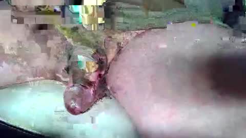 frogswrecking online show from December 20, 9:27 am