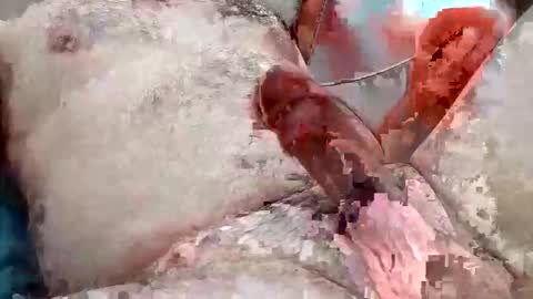 fuckermaster87 online show from February 18, 12:03 pm