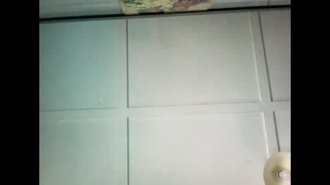 Snapshot of fucmebudoo chatting on January 20, 12:04 am Warwick online show from January 20, 12:04 am
