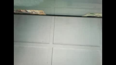 Snapshot of fucmebudoo chatting on January 9, 10:09 pm Warwick online show from January 9, 10:09 pm