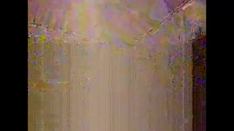 Warwick online show from January 8, 12:43 pm