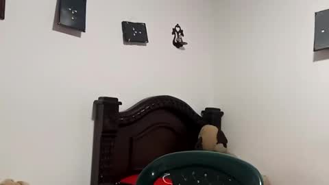 Snapshot of gadiel_sex chatting on October 6, 10:47 pm gadiel_sex online show from October 6, 10:47 pm