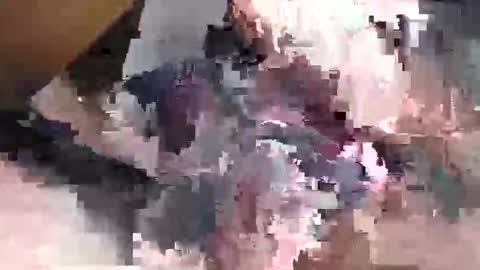 Gansozo online show from November 23, 11:27 pm