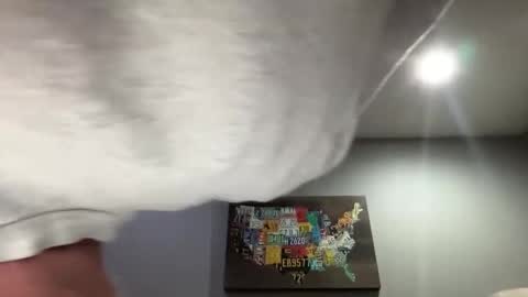 gavinnumbers online show from October 28, 2:14 am