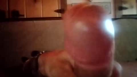 gaz5544332211 online show from September 10, 12:16 pm