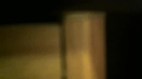 Snapshot of gemini_2 chatting on October 6, 4:55 pm gemini_2 online show from October 6, 4:55 pm