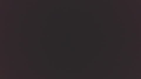 PussLover online show from February 10, 3:44 am