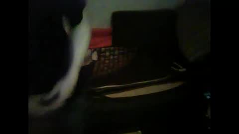 Alex39 online show from February 3, 6:39 pm