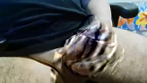 ghost1805 online show from December 22, 10:40 pm