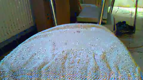 girafsnoop online show from April 20, 1:13 pm