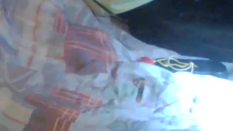 Snapshot of girlscallme666 chatting on October 24, 2:35 am lovegirlscallme online show from October 24, 2:35 am