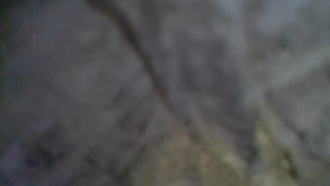 Snapshot of givr6inches chatting on September 11, 9:14 pm e-Bizl online show from September 11, 9:14 pm